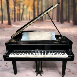 Yamaha G5 Grand Piano 6’6″ Ebony Polish Excellent Condition