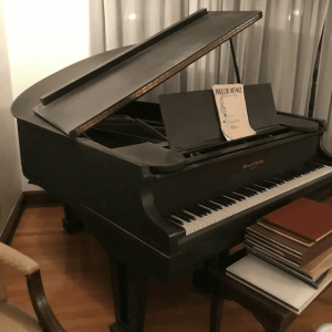 Mason & Hamlin self player reproducing Ampico player grand piano 5’4