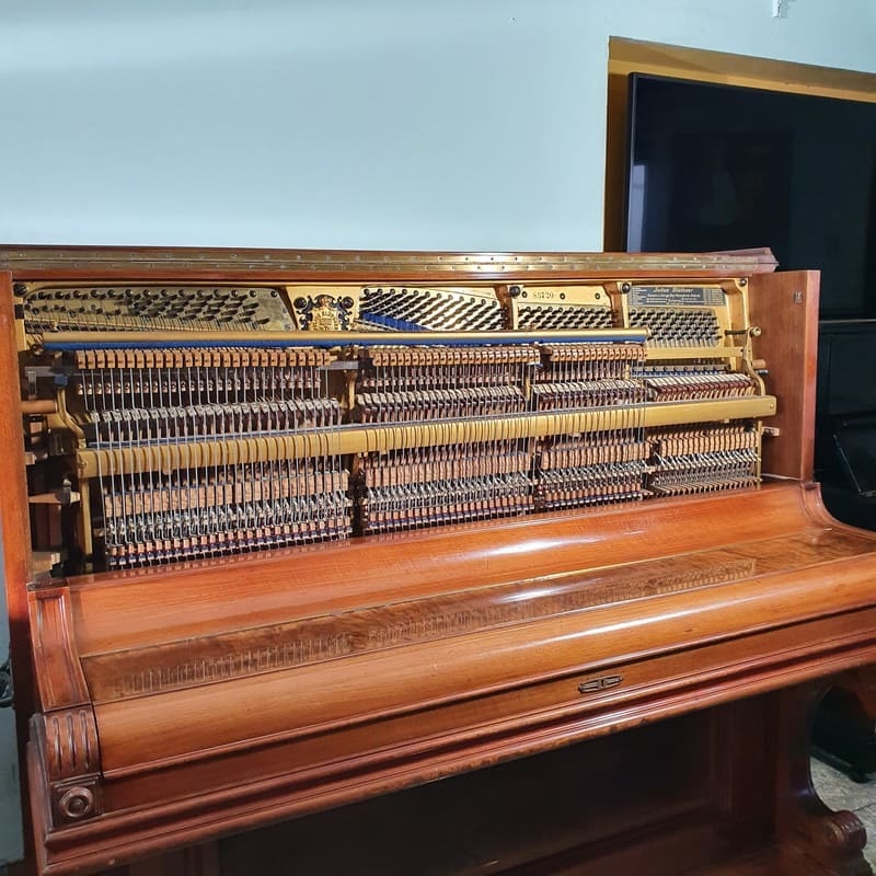 Astonishing Bluthner 55″ professional upright piano